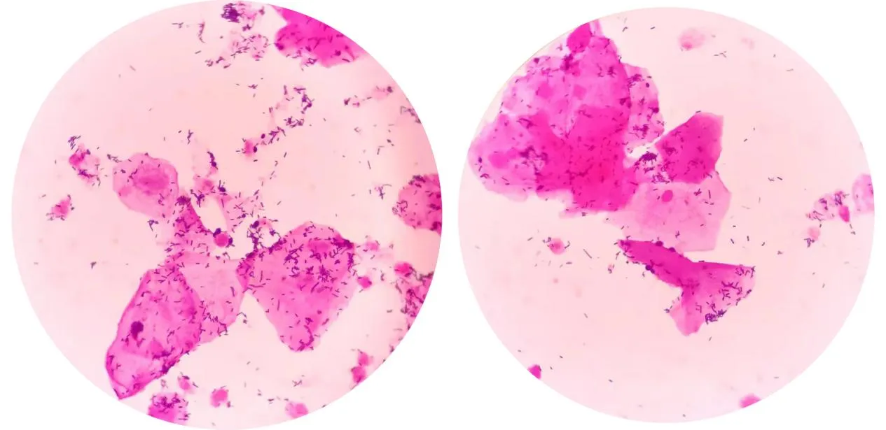 1750819110556107.jpg b797cd94bdf16ab5d55a7873cced4bae.jpg